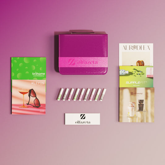 Business Starter Kit Lite Chogan